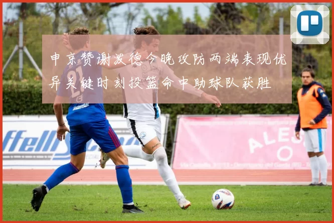 申京赞谢泼德今晚攻防两端表现优异关键时刻投篮命中助球队获胜